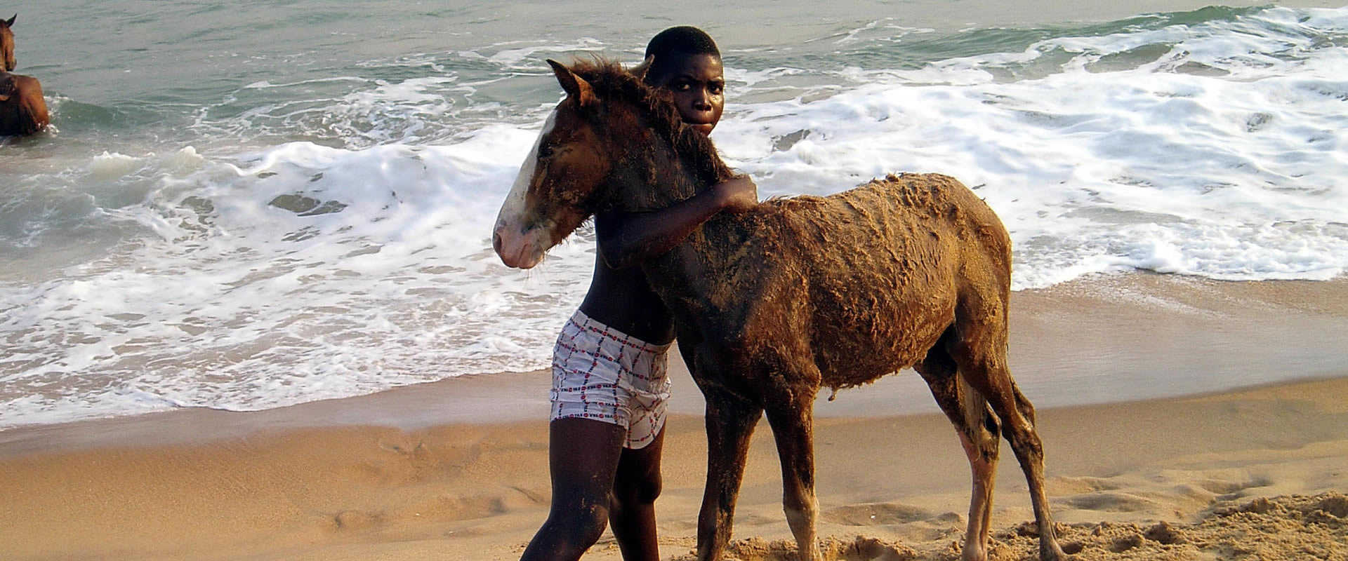 slider001_1920x800 -OPT-