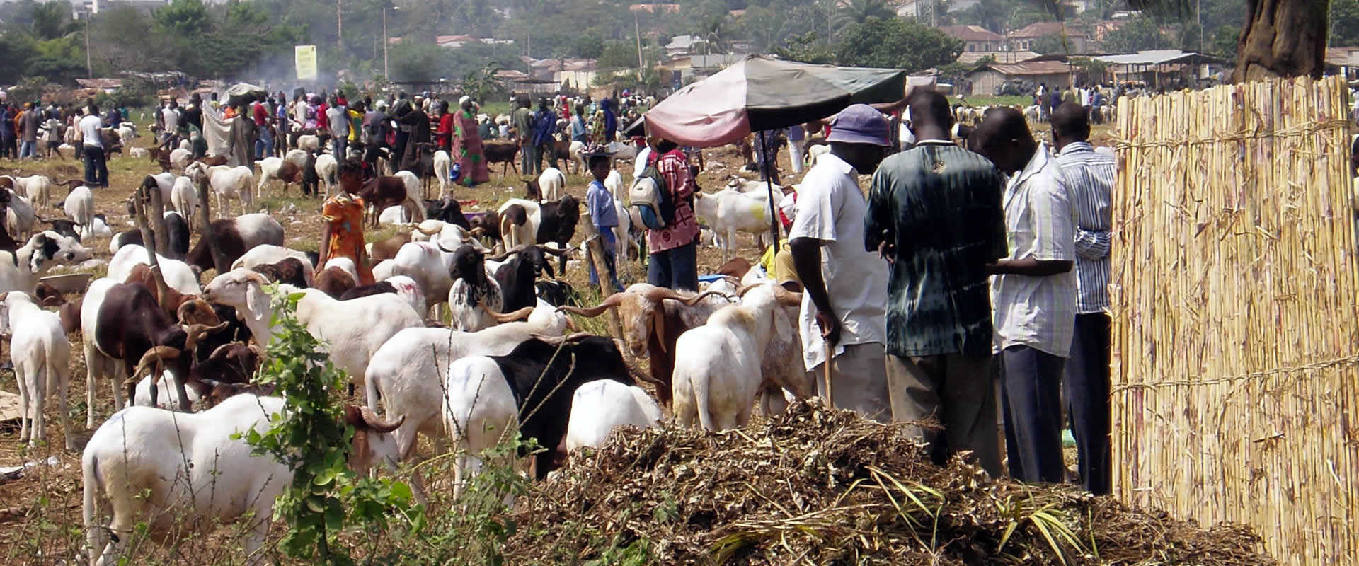 slider008_1920x800 -OPT-